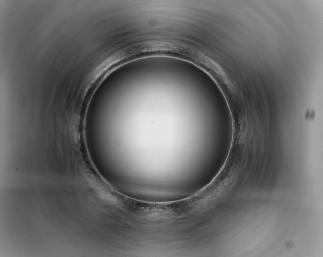 X0000102380786200808011536