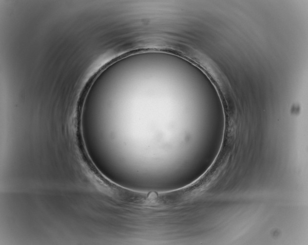 X0000102380787200808011536