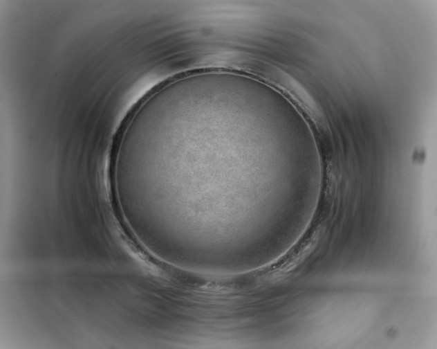 X0000102380788200808011536