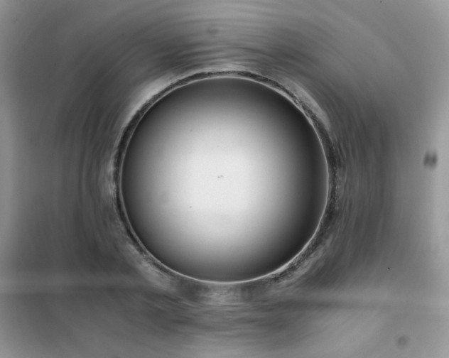 X0000102380789200808011536