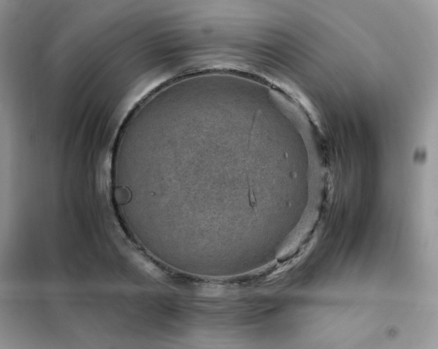 X0000102380790200808011536