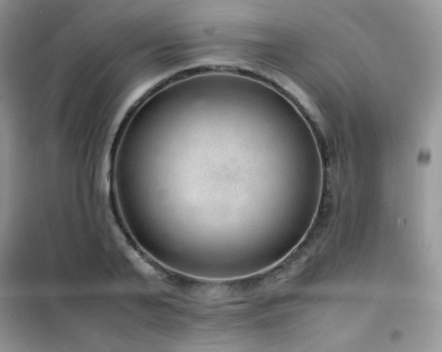 X0000102380791200808011536