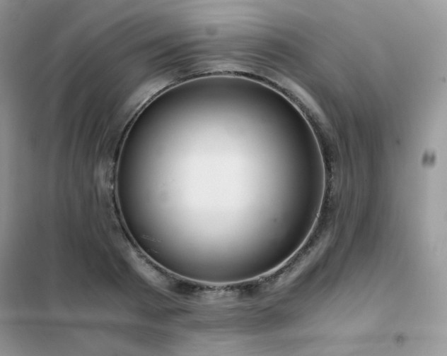 X0000102380793200808011536