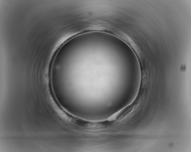 X0000102380795200808011536