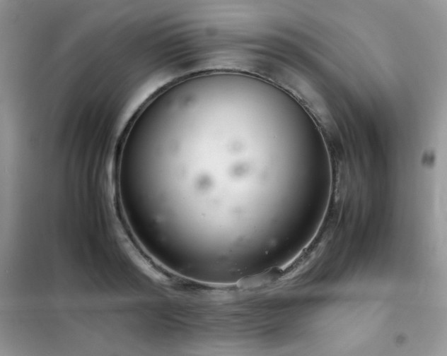X0000102380796200808011536