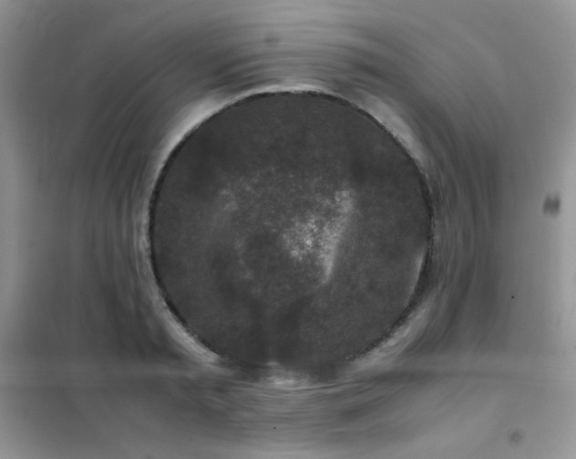 X0000102380797200808011536