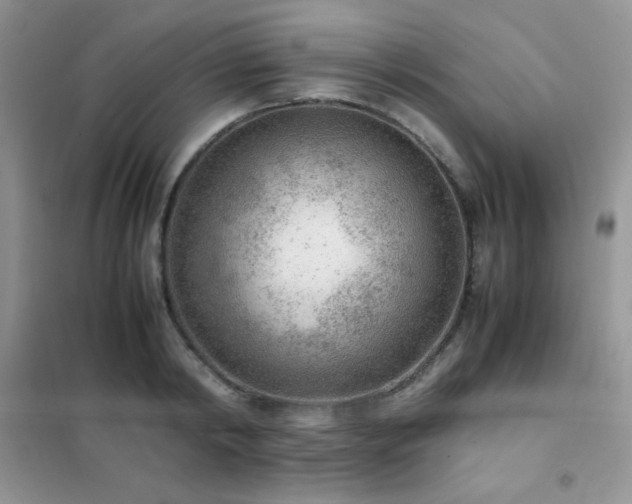 X0000102380798200808011536
