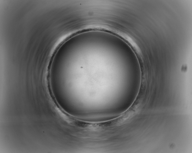 X0000102380799200808011536