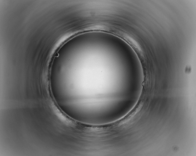 X0000102380800200808011536