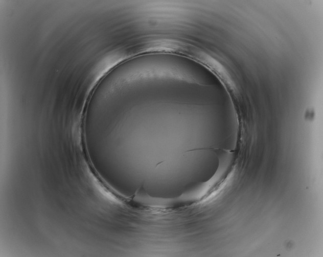X0000102380802200808011535