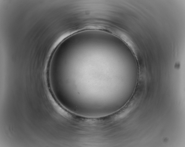X0000102380803200808011535