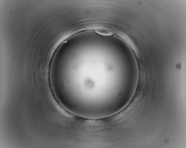 X0000102380805200808011535