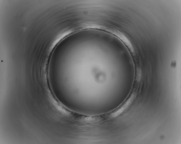 X0000102380806200808011535