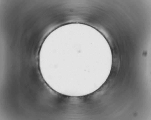 X0000102380807200808011535