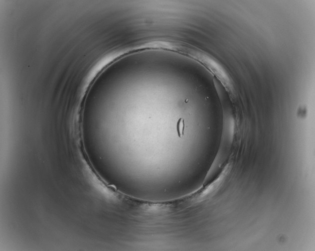 X0000102380808200808011535