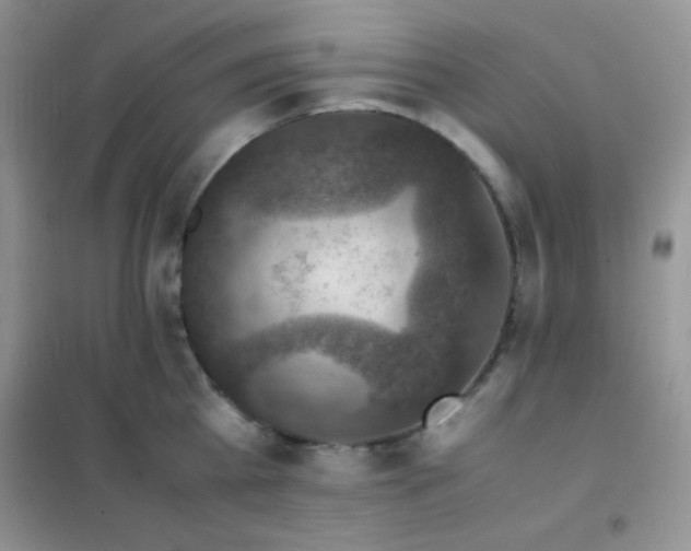 X0000102380809200808011535