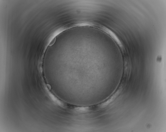 X0000102380810200808011535
