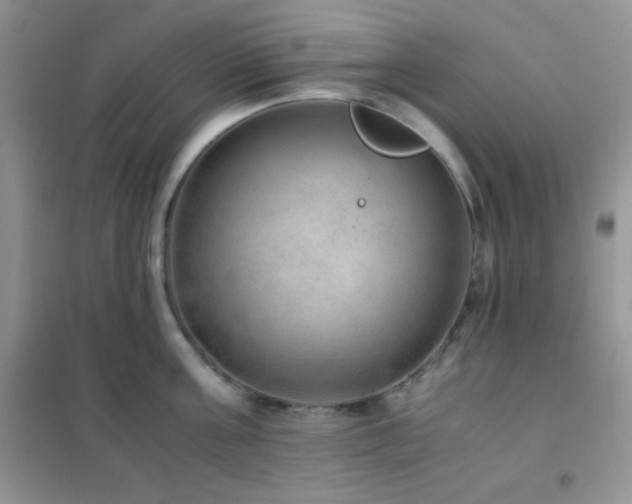 X0000102380811200808011535