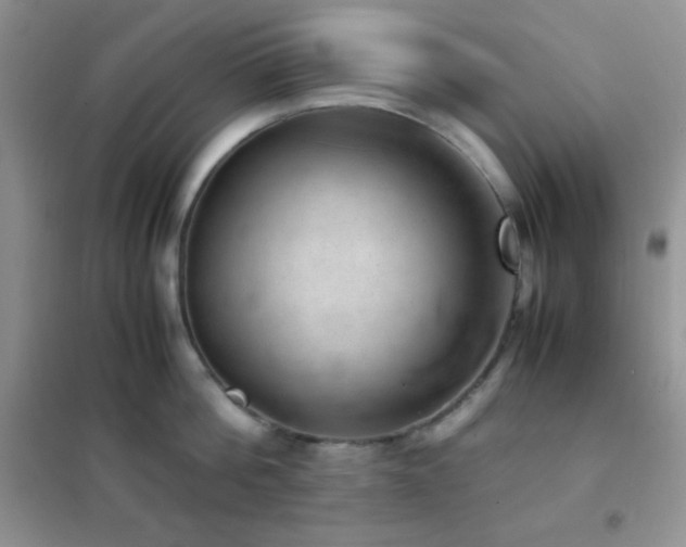 X0000102380812200808011535