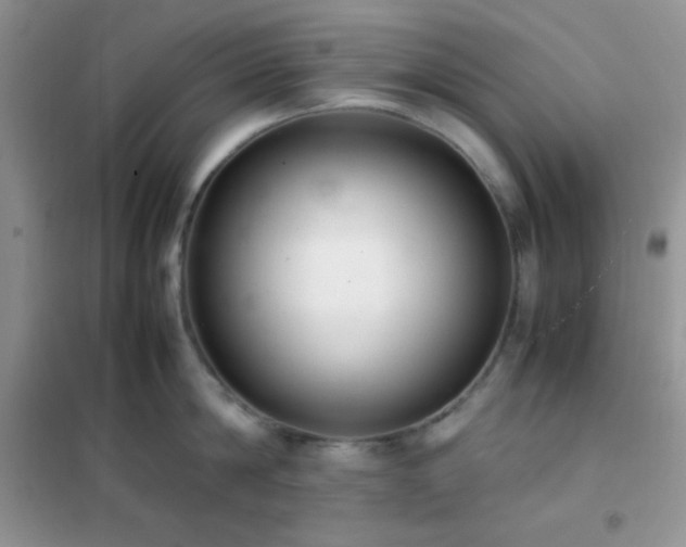 X0000102380814200808011535