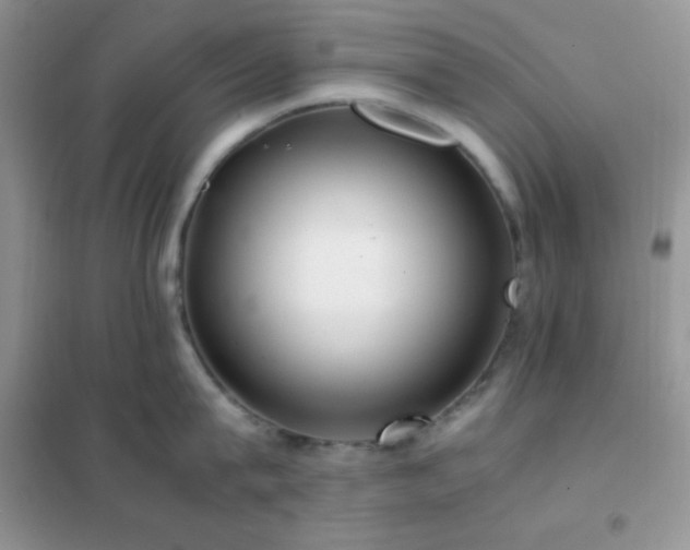 X0000102380815200808011535