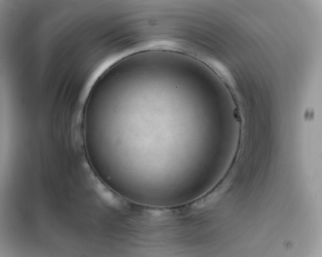 X0000102380816200808011535