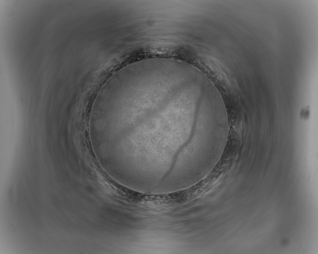 X0000102380817200808011534