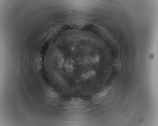 X0000102380818200808011534