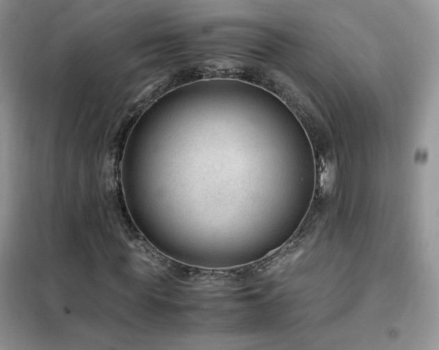 X0000102380819200808011534