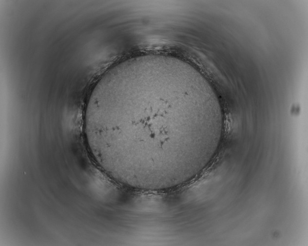 X0000102380820200808011534