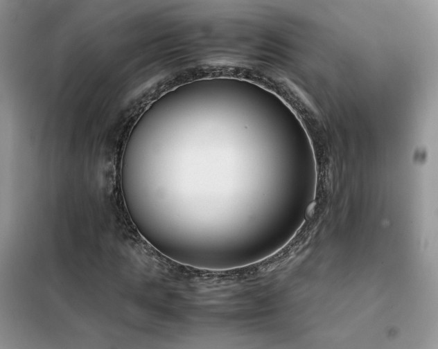 X0000102380821200808011534