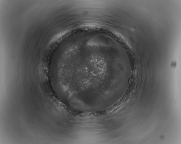 X0000102380822200808011534