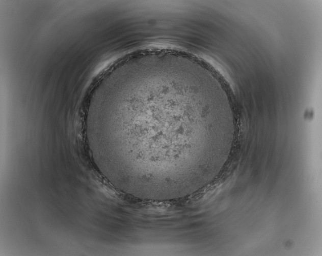 X0000102380823200808011534