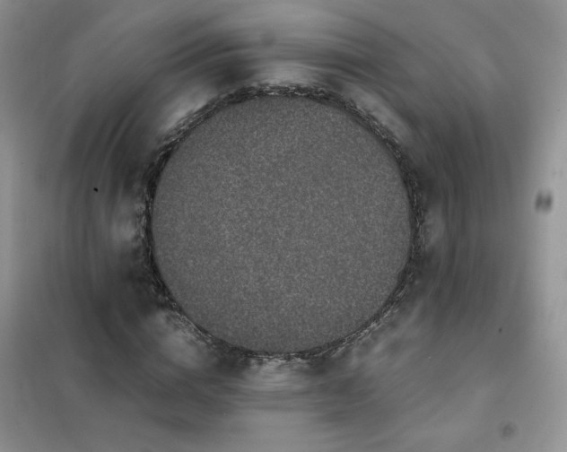 X0000102380824200808011534