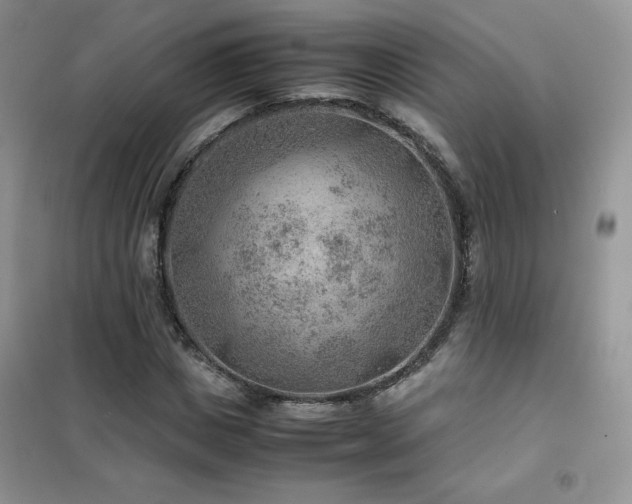 X0000102380825200808011535
