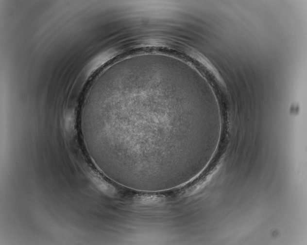 X0000102380826200808011535