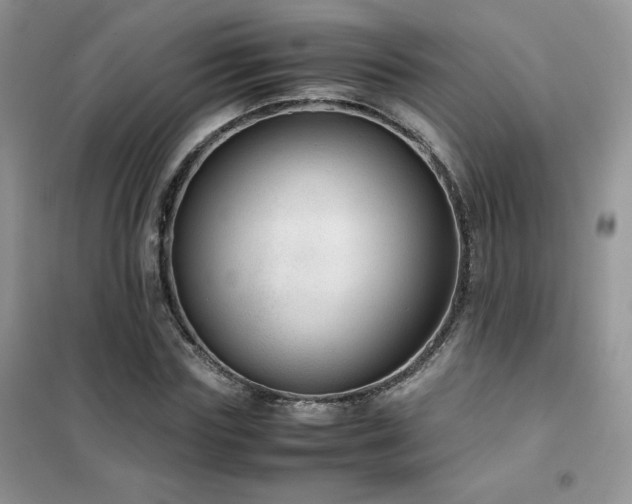 X0000102380827200808011535