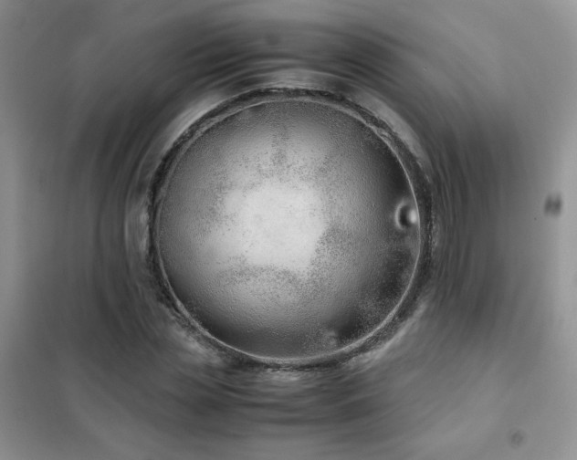 X0000102380829200808011535