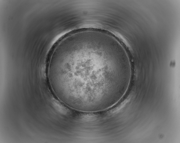 X0000102380830200808011535