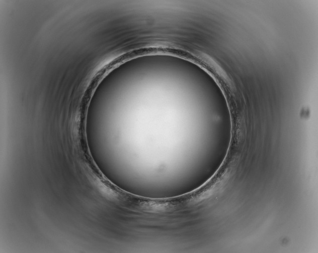 X0000102380831200808011535