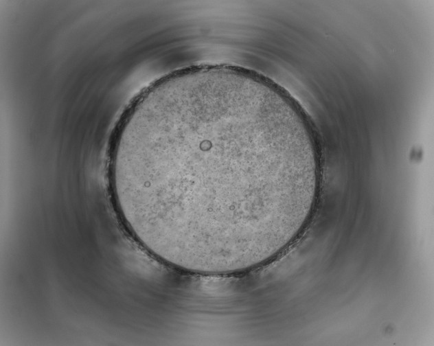 X0000102380832200808011535