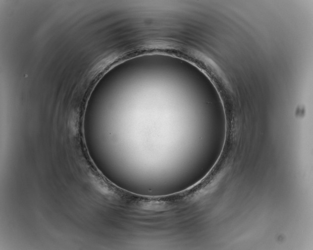 X0000102380833200808011535