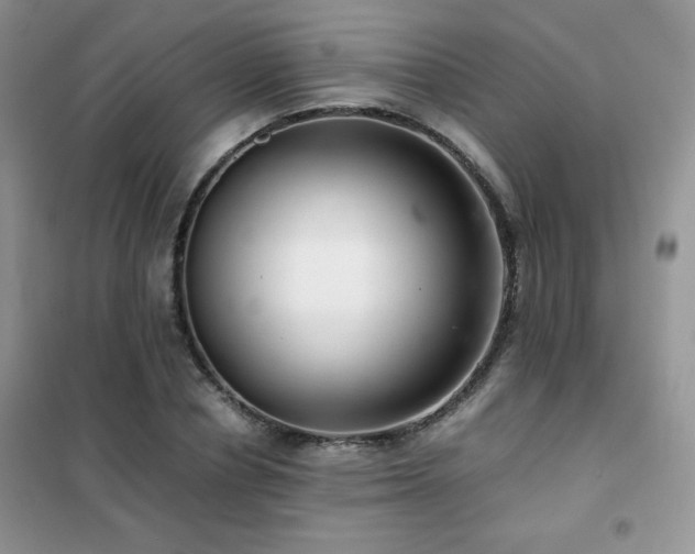 X0000102380834200808011535