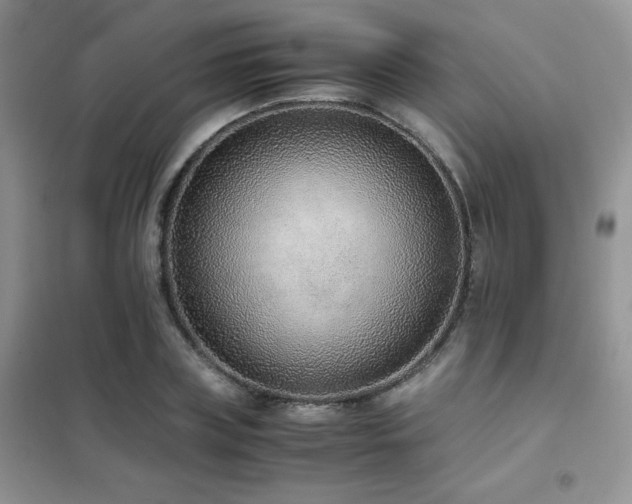 X0000102380835200808011535