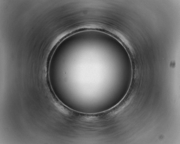 X0000102380837200808011535