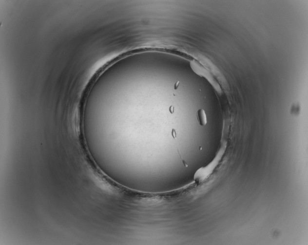 X0000102380838200808011535