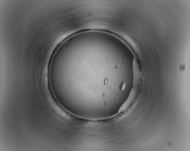 X0000102380840200808011535