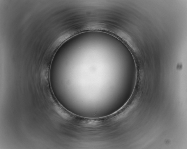 X0000102380841200808011535