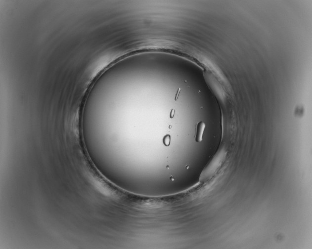 X0000102380842200808011535