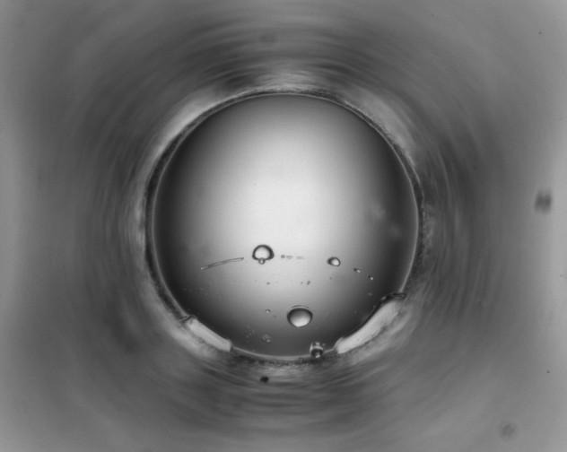 X0000102380843200808011535